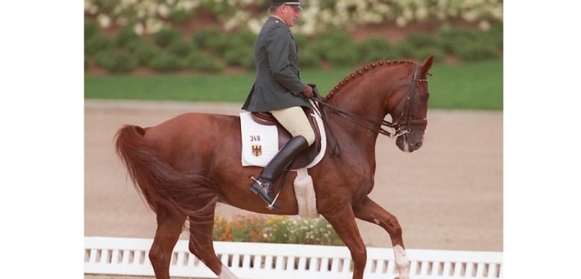 Klaus Balkenhol: quale prospettiva per il dressage? 1
