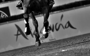 Sunshine Tour & Vilamoura pronti al via per giugno/luglio?