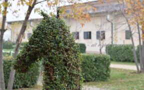 ASD & SSD equestri: ecco come richiedere i contributi a fondo perduto