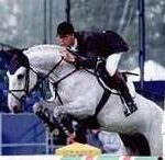 Ci hanno lasciato Larthago e Niagara d'Elle 2