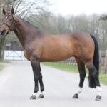 Ci hanno lasciato Larthago e Niagara d'Elle 4