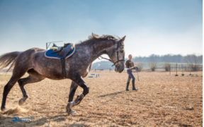 Collaboratori Sportivi: ecco come richiedere l'indennità