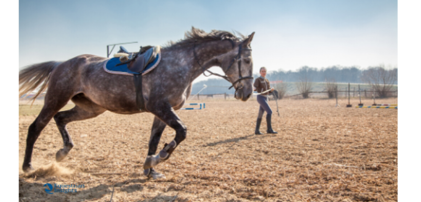 Collaboratori Sportivi: ecco come richiedere l'indennità