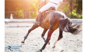 Concorsi: il Belgio riparte aprendo anche al pubblico