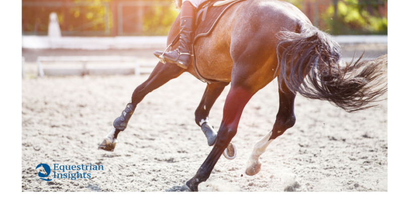 Concorsi: il Belgio riparte aprendo anche al pubblico