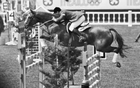 David Broome, da Wildfire alla scena mondiale 1