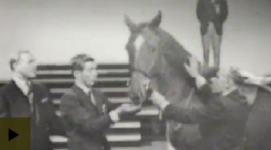 David Broome, da Wildfire alla scena mondiale