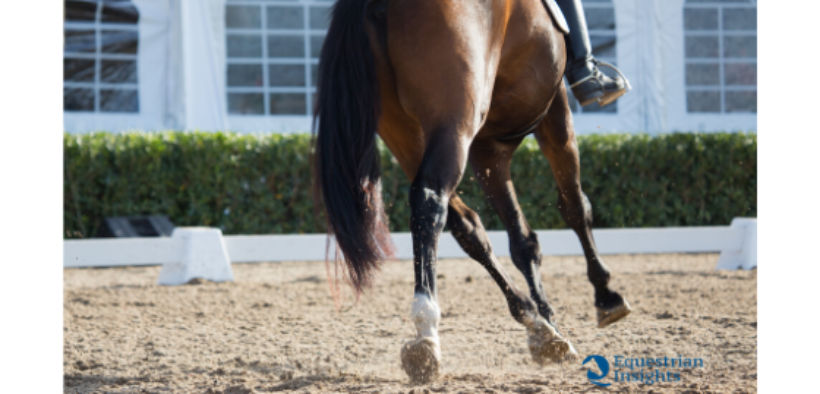 Dressage: Europei Giovanili al via quest'estate in Ungheria