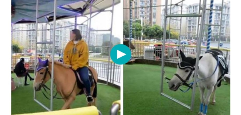 Giostra vivente per far divertire i bambini? Questo no! [video]