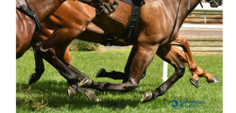 Il Cavallo al centro di un accordo internazionale tra Italia e Russia