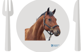 Numeri sul consumo di carne di cavallo in Italia nel 2019 1
