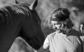 Sonny Richichi torna alla Presidenza di IHP - Italian Horse Protection