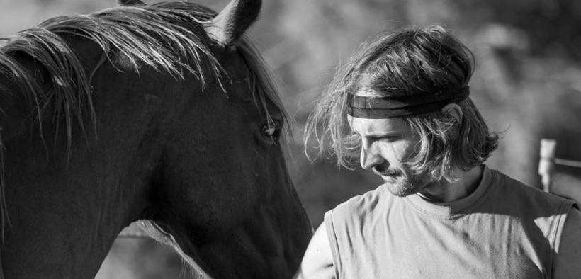 Sonny Richichi torna alla Presidenza di IHP - Italian Horse Protection