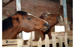 Urinare nel box: cattiva abitudine, anche per l'anti-doping