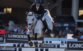 Affaire Andrew Kocher: ma cosa sappiamo delle regole FEI contro l'abuso di cavalli?