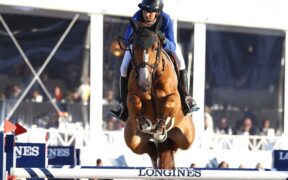 Ci lascia a soli 15 anni Flora de Mariposa