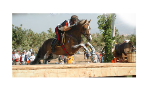 Il saluto di Brecciaroli al sauro Cappa Hill, che ci lascia a 27 anni