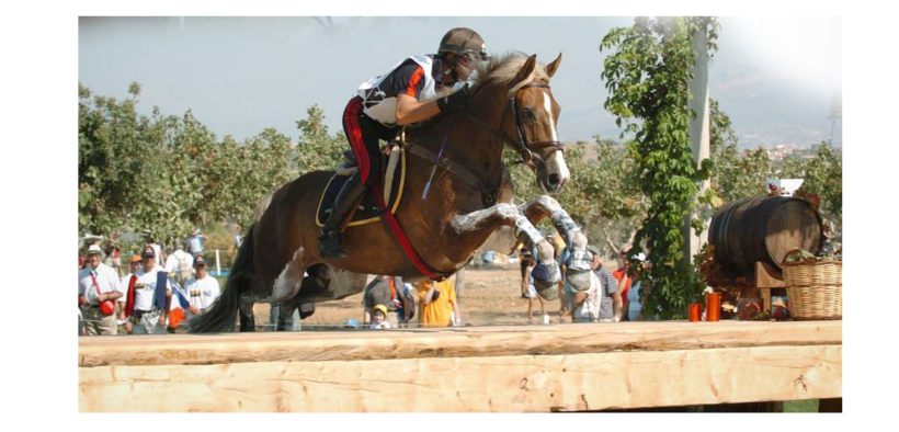 Il saluto di Brecciaroli al sauro Cappa Hill, che ci lascia a 27 anni