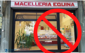 In Grecia la macellazione equina vietata per Legge