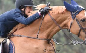 Infortunio per Jessica Springsteen