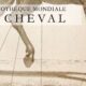 Letteratura equestre in rete: il progetto della Bibliothèque Mondiale du Cheval