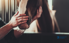 Possiamo fare molto meglio di così – Confessioni di un cavaliere fallito