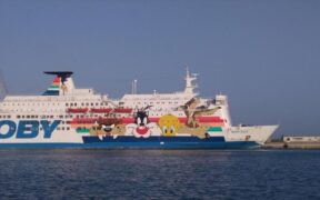 Quattro giovani cavalli morti