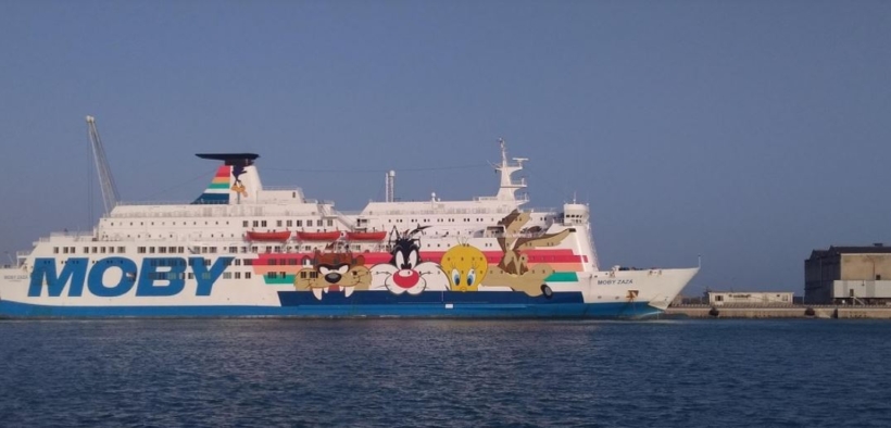 Quattro giovani cavalli morti