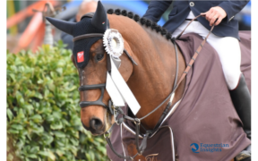 Riparte la stagione di concorsi all'Equieffe