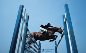 Salto ostacoli: quali saranno i prossimi appuntamenti pentastellati del 2020?