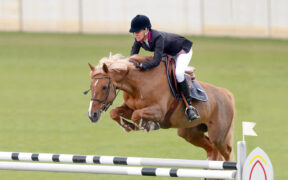 ** Top performer ai quali è stato cambiato... il nome 1