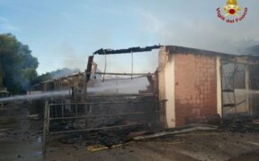 Tragedia in un maneggio del pavese, morti 11 cavalli