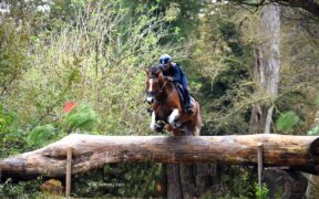 Evelina Bertoli trionfa nel CCI2*-S (Le Grand Complet Haras du Pin)