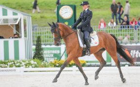 Le Grand Complet Haras du Pin, 1^ giornata: Bertoli in vetta nel CCI2*-S