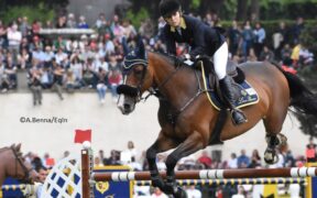 Nuovo cavaliere per Veronese Teamjoy