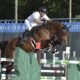 Riccardo Pisani firma il GP 160 del Talent Show Jumping di Arezzo