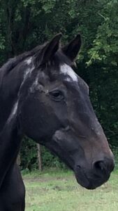 Addio a Eurocommerce Monaco. Il commiato della famiglia Schröder 1