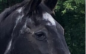 Addio a Eurocommerce Monaco. Il commiato della famiglia Schröder