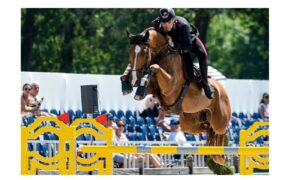 CSI4* Grimaud: Gaudiano e Chalou terzi in GP (h155-LR)