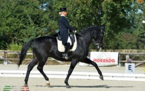 Dressage: Tatiana Miloserdova Campionessa Italiana 2020