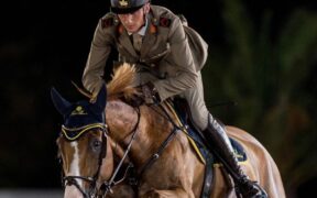 Grand Prix 5* Grimaud (h 160): favoloso Alberto Zorzi 1