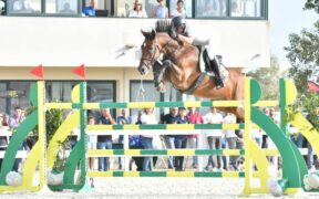 Salto Ostacoli: il Sardegna Jumping Tour incontra l'allevamento regionale sardo