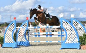 Sardegna Jumping Tour (Naz. A6*), Gianni Govoni nuovamente protagonista