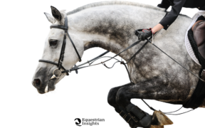 Team Junior quarto nello CSIO giovanile di Lamprechtshausen