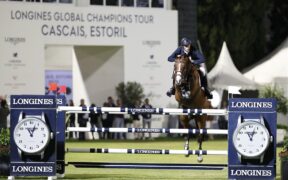 Utamaro d'Ecaussines ritirato dallo sport