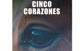 [Video] 5 Corazones: ecco il docu-film contro l'oscuro business dei cavalli in Argentina