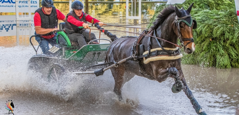 A proposito della disciplina degli Attacchi, questa sconosciuta? Eppure...