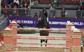 Cancellati Jumping Verona e tutte le gare FISE in programma in Fiera