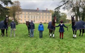 Completo, al via la 34^ edizione del Mondial du Lion