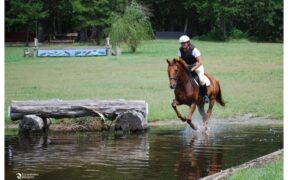 Completo: soppressi il Saggio nazionale e Campionato delle Scuole
